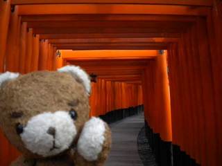 2012021304.jpg