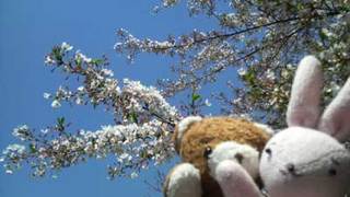 P1001415.jpg
