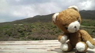 P1001530.jpg